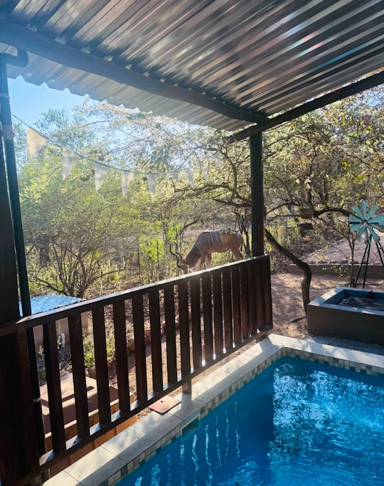 Kruger National Park South Accommodation at  | Viya