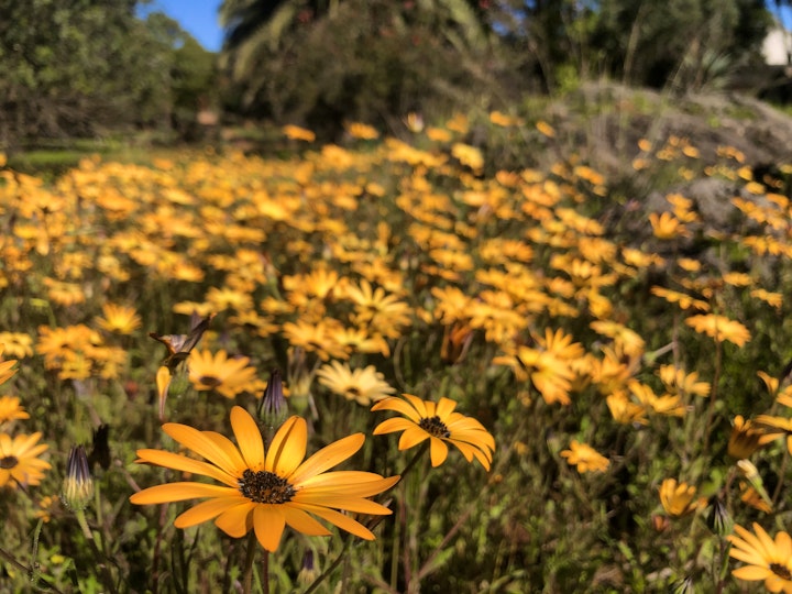 Western Cape Accommodation at Oom Hendrik se Huisie | Viya