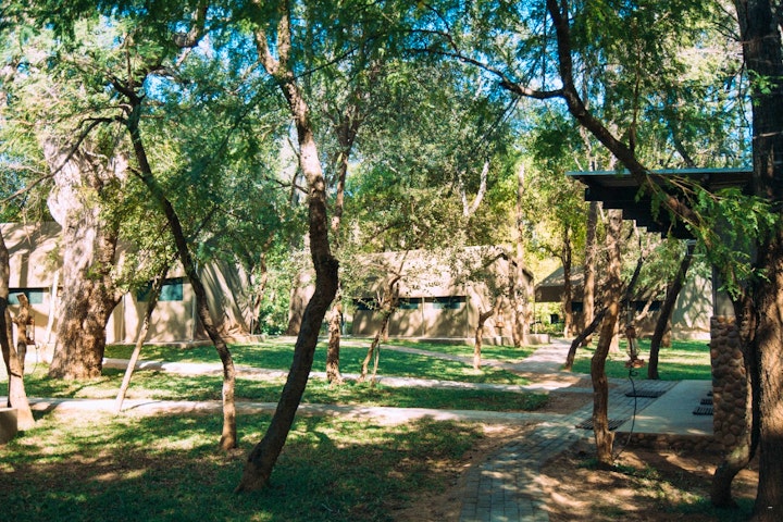 Limpopo Accommodation at Mazunga Tented Camp | Viya