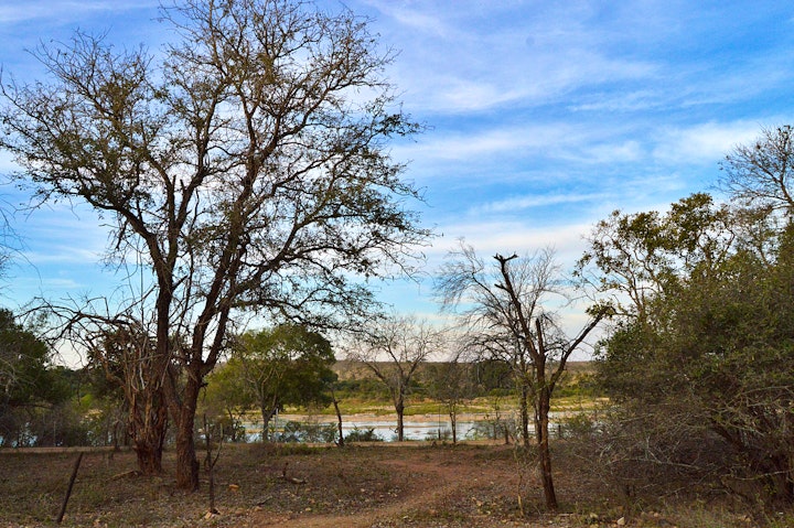 Kruger National Park South Accommodation at Foxy Crocodile Bush Retreat | Viya