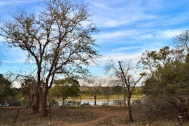 Kruger National Park South Accommodation at Foxy Crocodile Bush Lodge and Kruger Safari's | Viya