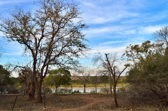 Kruger National Park South Accommodation at  | Viya