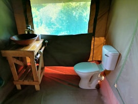 Panorama Route Accommodation at Chosen Glamping Accommodation | Viya