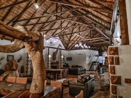 Kruger National Park Accommodation at  | Viya