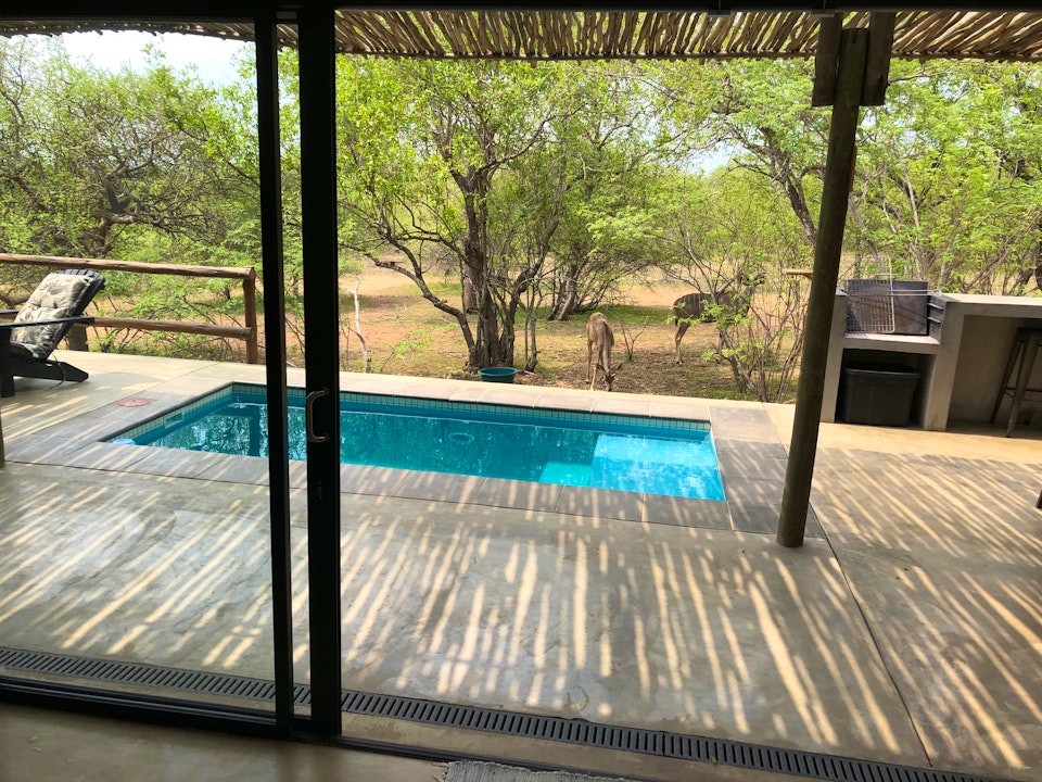 Kruger National Park South Accommodation at  | Viya