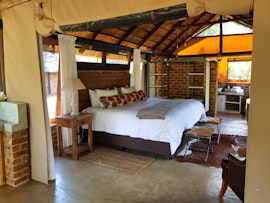 Dinokeng Game Reserve Accommodation at  | Viya