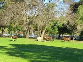 Overberg Accommodation at  | Viya