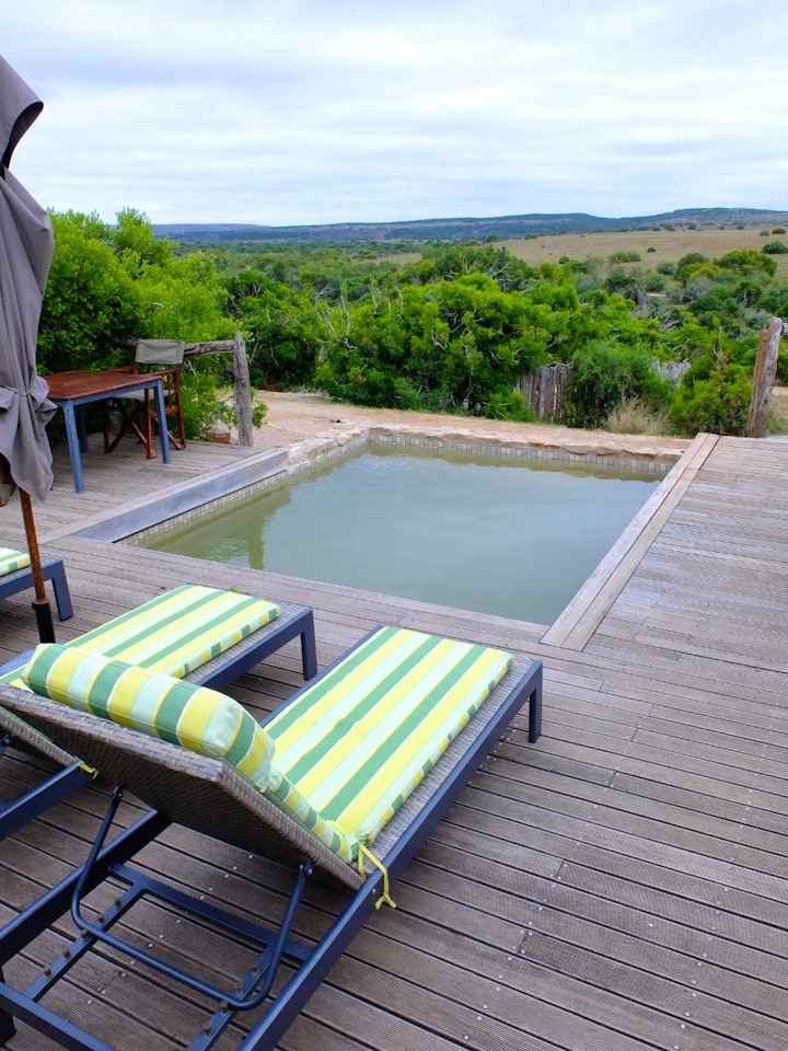 Eastern Cape Accommodation at HillsNek Safaris | Viya