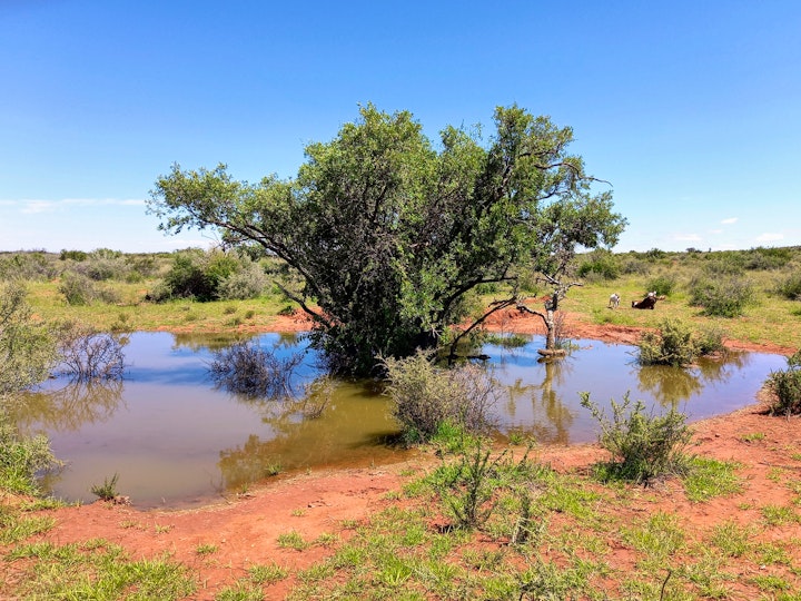 Northern Cape Accommodation at Witgatboom Verblyf | Viya