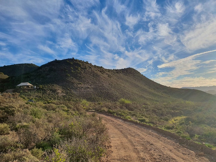 Western Cape Accommodation at Grysbokkloof Private Nature Reserve | Viya