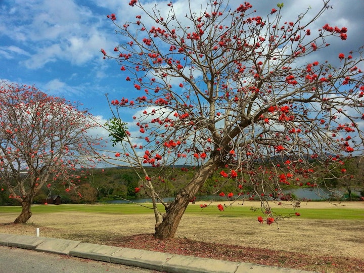 Mpumalanga Accommodation at Kruger Park Lodge Chalet 226A | Viya