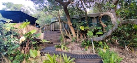 Garden Route Accommodation at The Wild - Bush camp | Viya