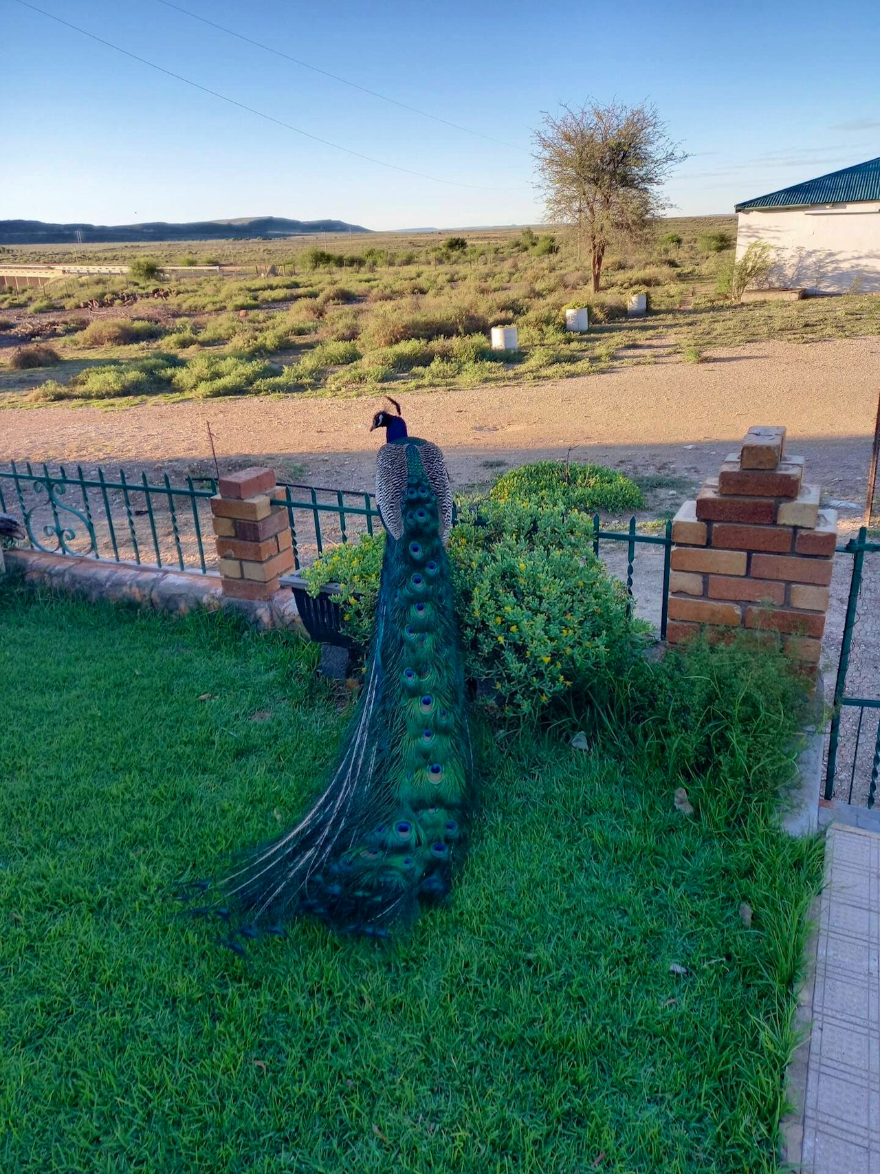 Karoo Accommodation at  | Viya