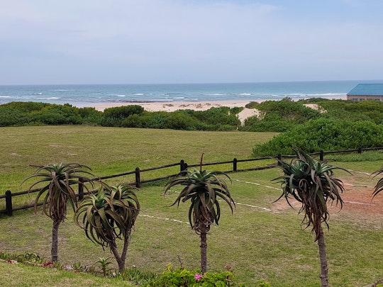 Jeffreys Bay Accommodation at  | Viya