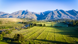 Overberg Accommodation at Wildebraam Berry Estate | Viya