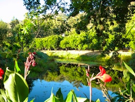 Cederberg Accommodation at Klein Boschkloof | Viya