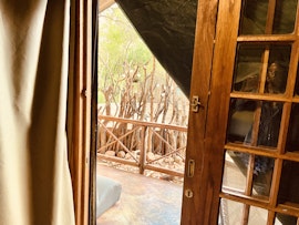 Kruger National Park South Accommodation at  | Viya