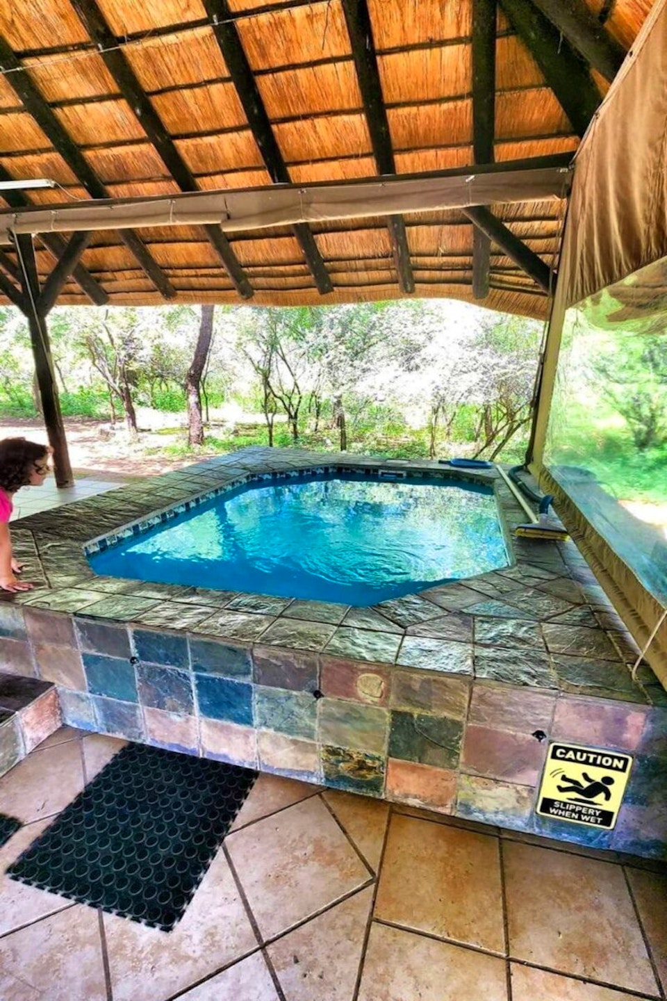 Kruger National Park South Accommodation at  | Viya