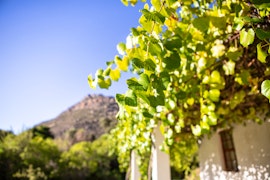 Cederberg Accommodation at Krakadouw Cottages | Viya