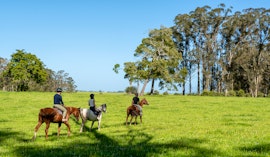 Garden Route Accommodation at Oakhurst Farm Cottages | Viya