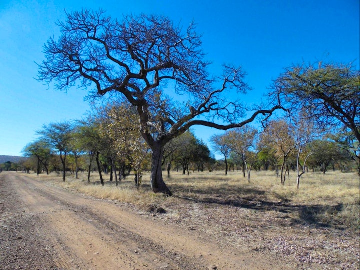 Limpopo Accommodation at El Rancho Grande | Viya