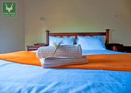 Karoo Accommodation at  | Viya