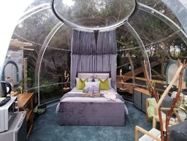 Garden Route Accommodation at The Dome | Viya