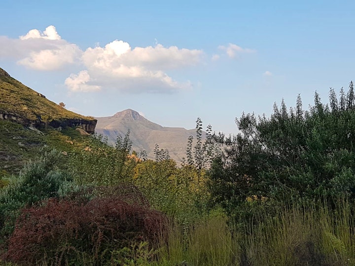 Drakensberg Accommodation at Odendaal’s Ridge | Viya