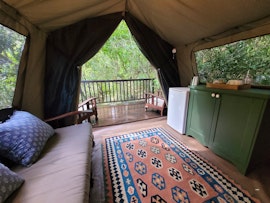 Garden Route Accommodation at Forest Glamping | Viya