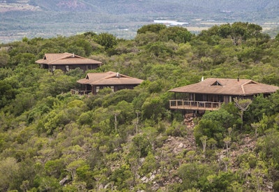  at Kariega Game Reserve - Main Lodge | TravelGround