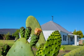 Garden Route Accommodation at  | Viya