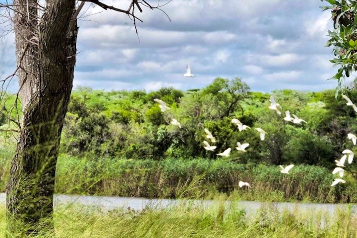 Waterberg Accommodation at Groendraai River Cottages | Viya