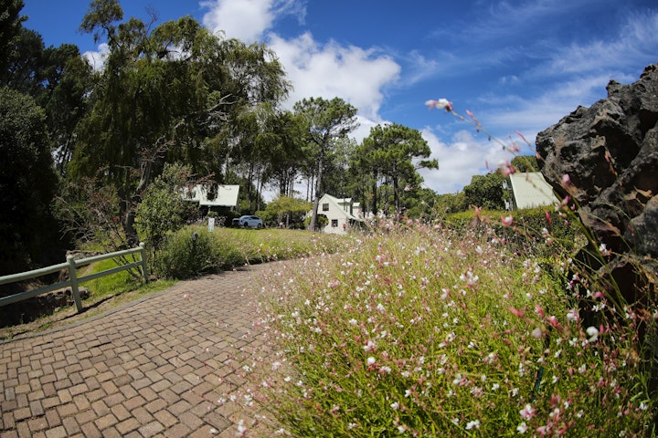 Cape Town Accommodation at Hydrangeas Cottage | Viya