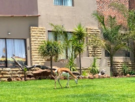 Free State Accommodation at Lochs Hoek Country House | Viya