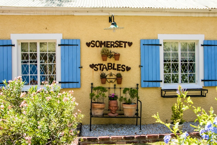 Eastern Cape Accommodation at Somerset Stables | Viya