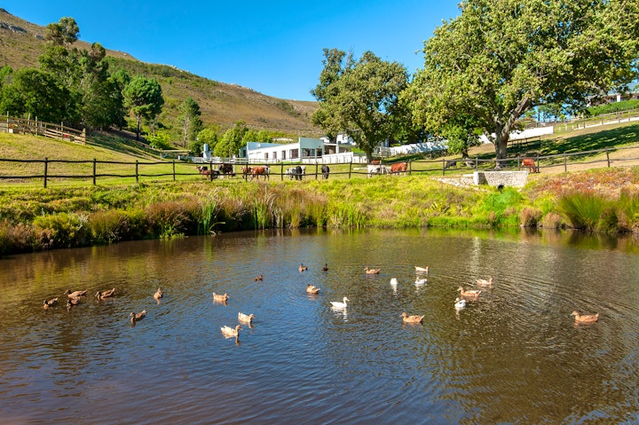 Western Cape Accommodation at High Season Farm Luxury Cottages | Viya