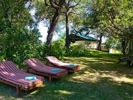 Namibia Accommodation at Caprivi Mutoya Lodge and Campsite | Viya