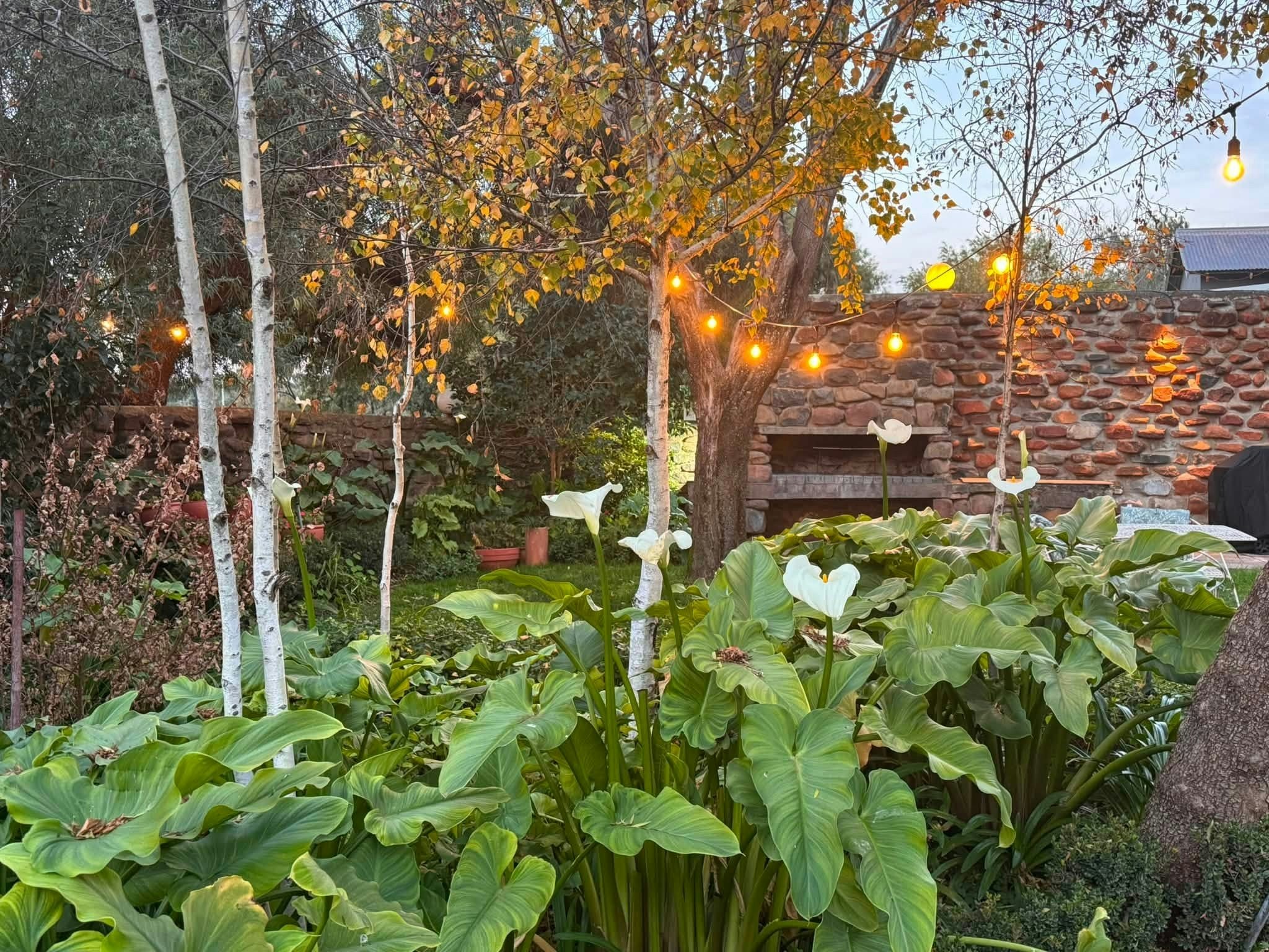 A Little Guesthouse image no 2 of 13