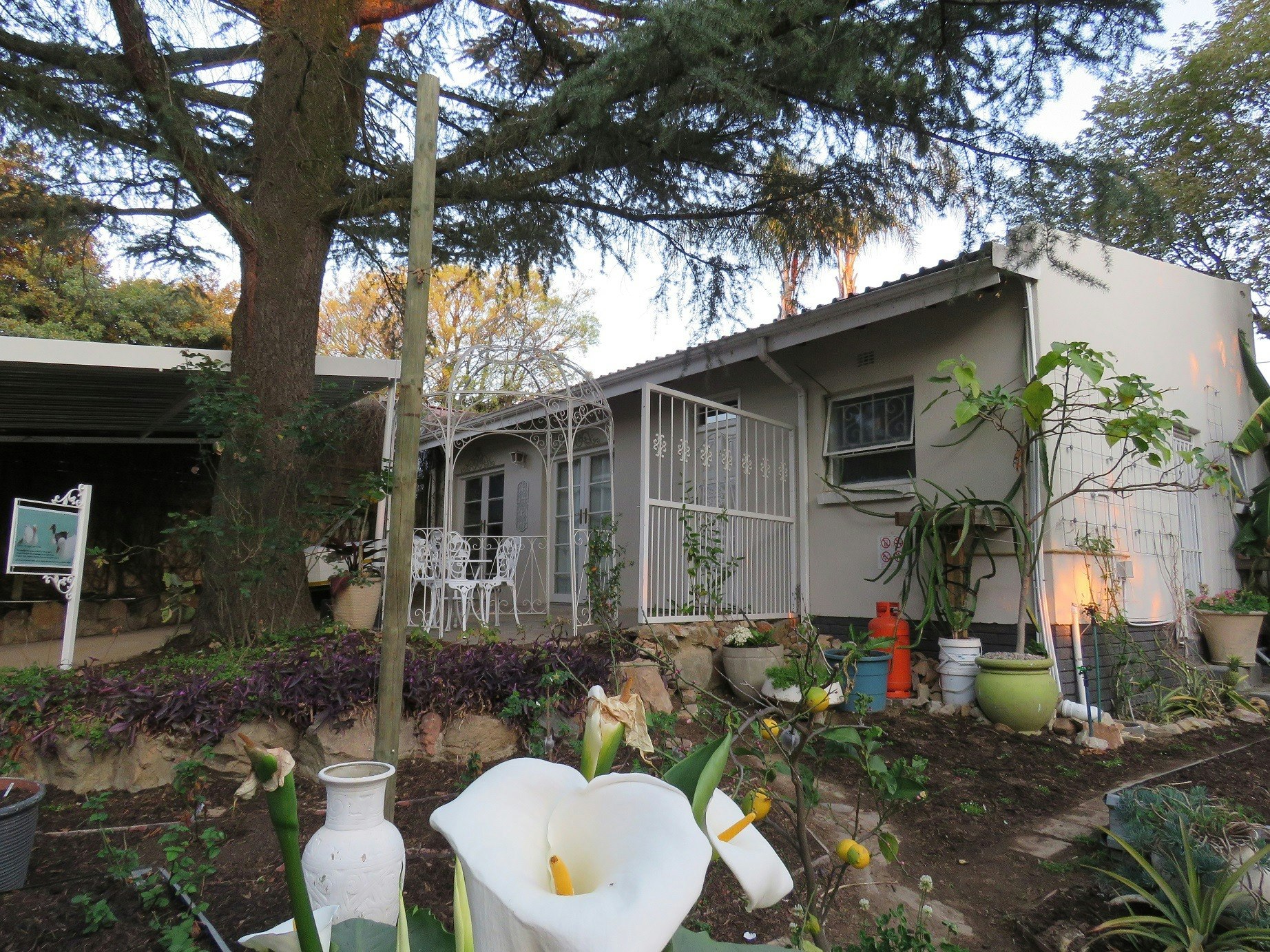 Homestead On The Park image no 5 of 12