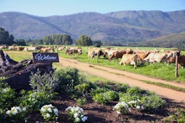 Western Cape Accommodation at Natures Way Farm Cottage | Viya