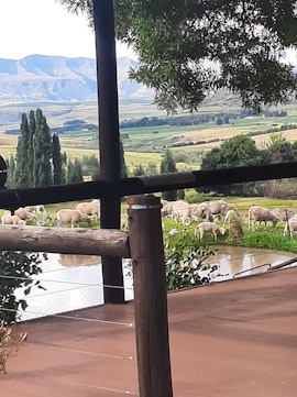 Clarens Accommodation at  | Viya