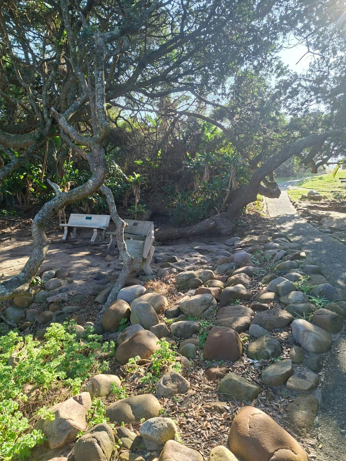 Seven Sardines Beach House image no 26 of 26