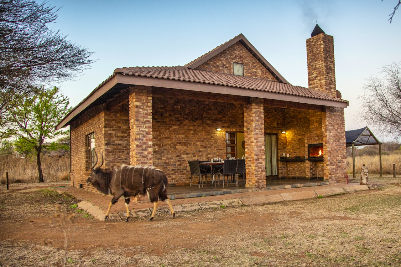 Limpopo Accommodation at  | Viya