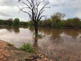 Kruger To Canyons Accommodation at Lekkergoed Game Farm | Viya