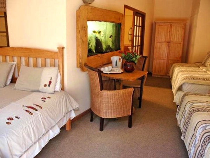 Western Cape Accommodation at French Lodge International | Viya