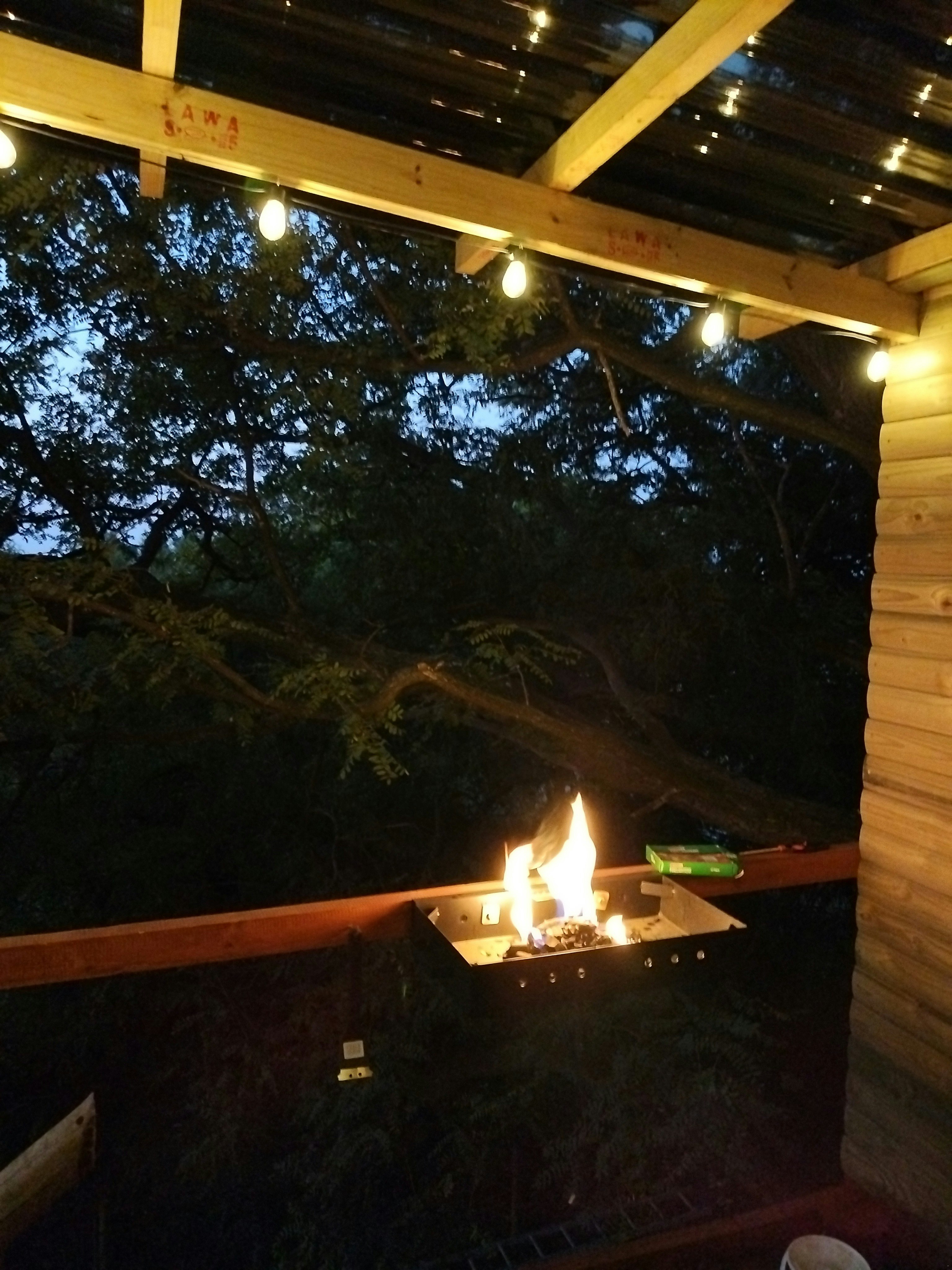 Tree House Living image no 14 of 14
