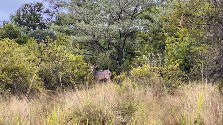 Limpopo Accommodation at Rietfontein Guest & Safari Lodge | Viya