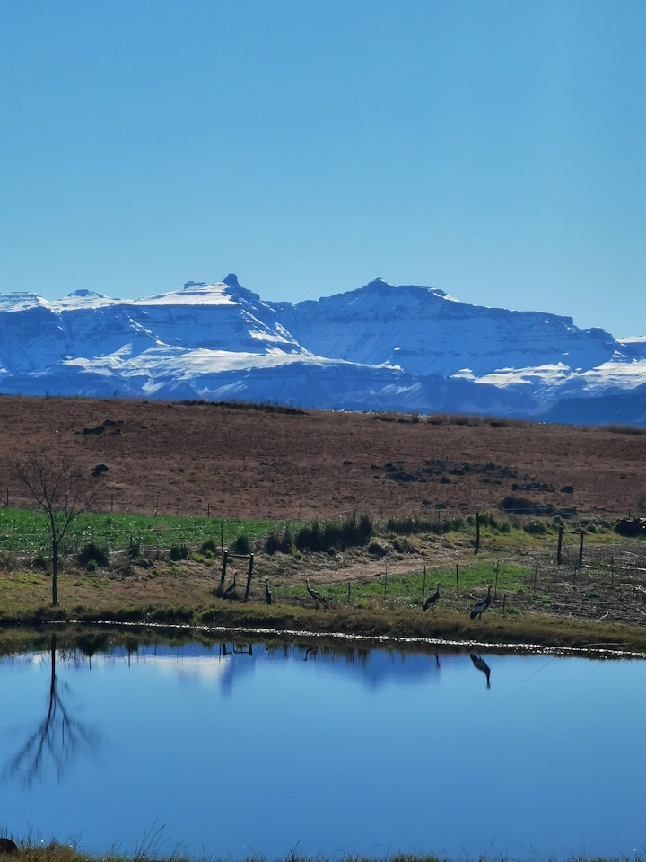 KwaZulu-Natal Accommodation at Baramee Country Cottage | Viya