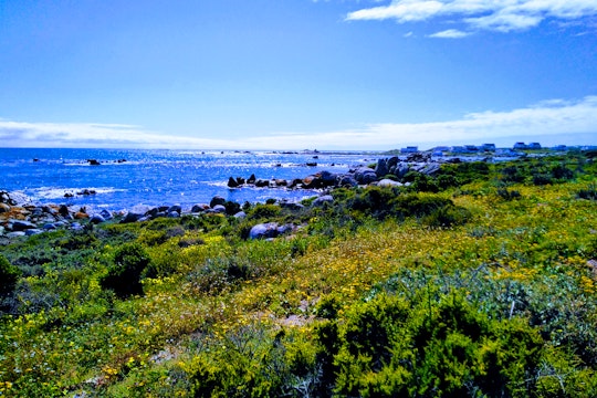 Strandloper @ Moeriesbaai