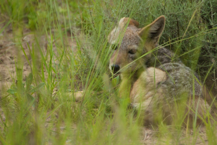 Waterberg Accommodation at Mogol Kasteel Gastehuis | Viya